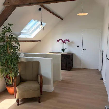 Gezellige Woning Met Grote Tuin Dichtbij